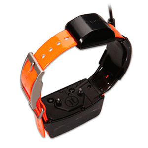 модель ошейника Garmin TT 10