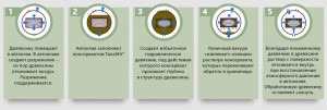 Как правильно пропитывать древисину